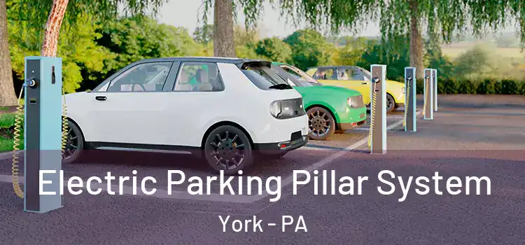  Electric Parking Pillar System York - PA